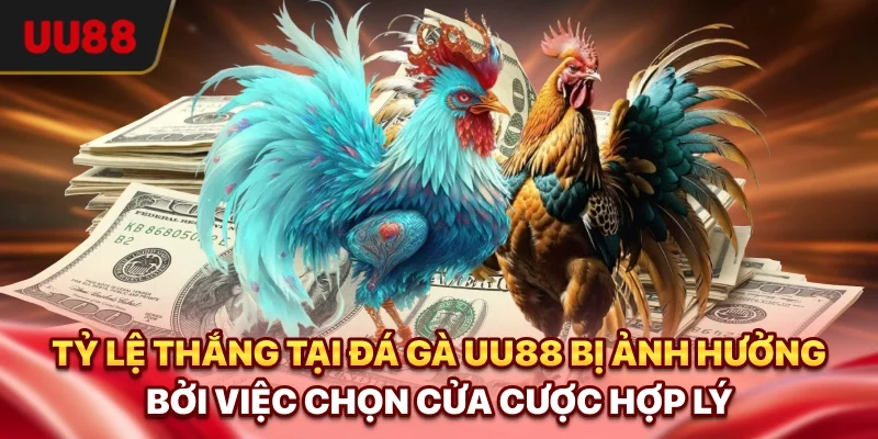 Tỷ lệ thắng tại Đá gà UU88 bị ảnh hưởng bởi việc chọn cửa cược hợp lý